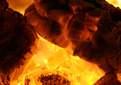 Verdorenewables's profile picture. Manufacture 110,000 tonnes of ENPlus standard wood pellets per annum from sustainable virgin timber at plants in Andover, Hampshire and Grangemouth, Scotland.