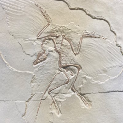 Takahas37848580's profile picture. 