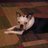 JillMeachelle's profile image
