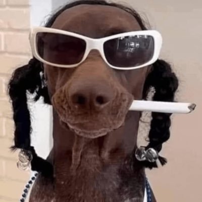 Suitedxlyphone's profile picture. 