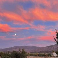 Luiis_photo (@luiis_photo) 's Twitter Profile