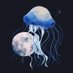 𝖲𝖠𝖹𝖠𝖭𝖠𝖬𝖨 (@rsrm1_) Twitter profile photo 𝖲𝖠𝖹𝖠𝖭𝖠𝖬𝖨 (@rsrm1_) Twitter profile photo