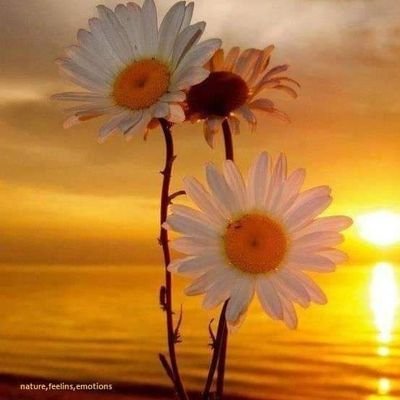 Giigiixtwo11181's profile picture. 