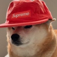 DOG family (@dogmemefamily) 's Twitter Profile Photo DOG family (@dogmemefamily) 's Twitter Profile Photo