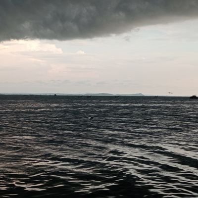 _makerea's profile picture. Man utd