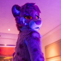 Yaki’s Tail (@snephub) 's Twitter Profile