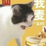 jinchenju's profile picture. No one is free until everyone is free.