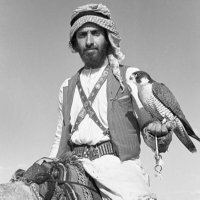 ناصر هديان (@nmn885) 's Twitter Profile Photo