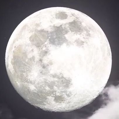 mariajonut's profile picture. vivir, no sobrevivir.
animales, mágicos sentimientos.
colorea la vida y lucha,
por ti y por los sin voz
Morir de amor es Vivir de pie