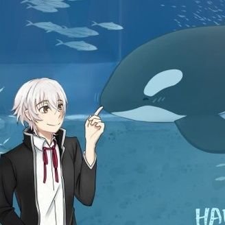 잡덕으로 진화한 범고래군さんのプロフィール画像
