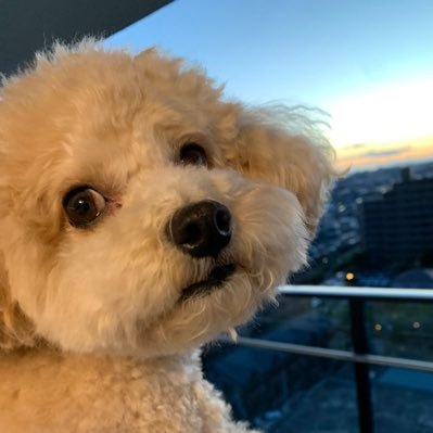 freed4242391's profile picture. 石丸伸二さんにいつの間にかハマっていた #石丸伸二 #東京を動かそう