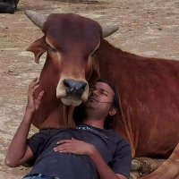GauNandiSewa Hospital (@gaunandisewa) 's Twitter Profile Photo GauNandiSewa Hospital (@gaunandisewa) 's Twitter Profile Photo