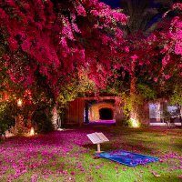 الأستاذ راشد الرويشد 🤍♥️( بني عامر بن صعصعه) (@rashd_abw12271) 's Twitter Profile