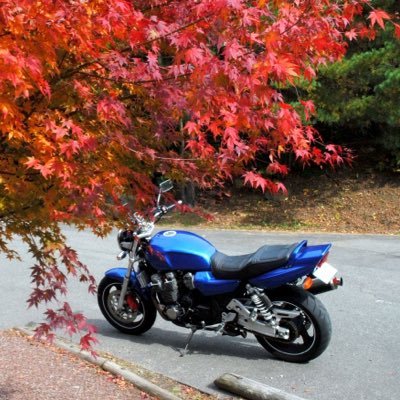 ShiraoY_W_R_C's profile picture. 
