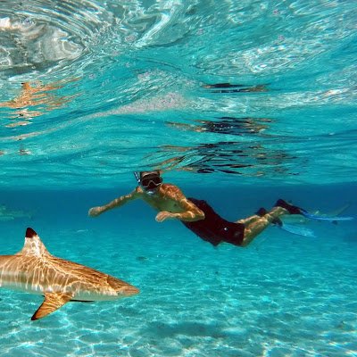 Sylvain DE ROSSI Profile