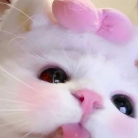 aya ๐งธ | ๐ ... (@98zkyu_) 's Twitter Profile