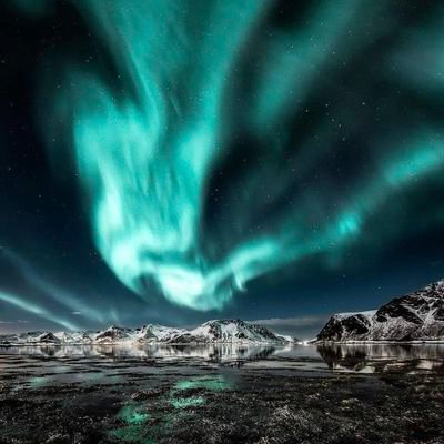 AGanglas's profile picture. Finance/Liverpool fc/ Bodybuilding and nutrition / graphic design