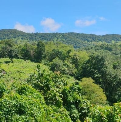 dhruvkochh31835's profile picture. 