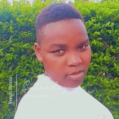 VenahMoraa71683's profile picture. 