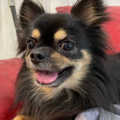 kazu_yossi's profile picture. チヌ、グレのふかせ釣がメイン エギングやテニスを楽しんでいます。 オリジナルラヴ、SLT                                                             Team ONIGAKE 鬼遊海