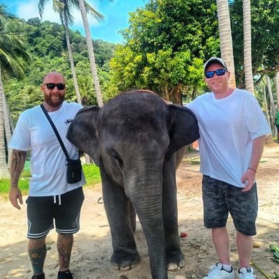#TeamsLikeRotherham