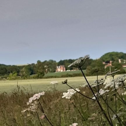 christineh96636's profile picture. Retired , woman, hate injustice. Love our british culture. married with 3 boys, 3 grandchildren and 3 dogs. Want a safe world for my grandchildren. No DMs.