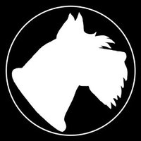 Yapping Schnauzers (@yschnauzers) 's Twitter Profile Photo