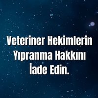 Veteriner Hekim (@vethek323) 's Twitter Profile Photo Veteriner Hekim (@vethek323) 's Twitter Profile Photo