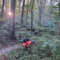 Chris Anderson (@essau1969) 's Twitter Profile