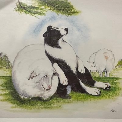 dogmen111's profile picture. わいわい ガヤ民