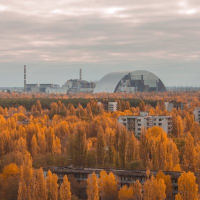 rudiylis's profile picture. 