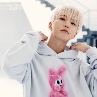 히🐯 (@svt_hoshi_hy) 's Twitter Profile Photo 히🐯 (@svt_hoshi_hy) 's Twitter Profile Photo