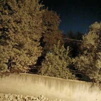 Ali (@mcahitkaya55947) 's Twitter Profile