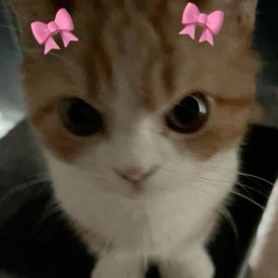 ilovveyou3000's profile picture. LOVELY♥️