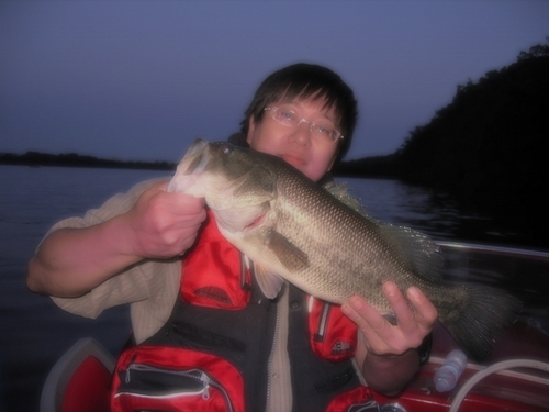 389jvy's profile picture. 