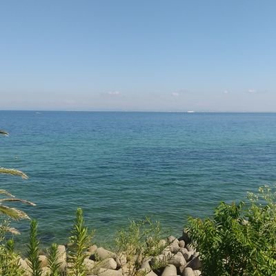 どうも気になる
日々のつぶやき