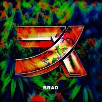 Brad⁷ᵏ (@mbrad87) 's Twitter Profile