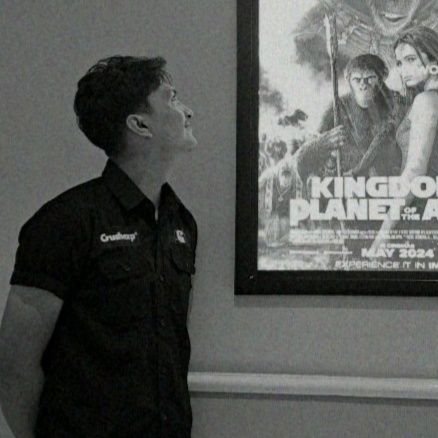 youngpaphi's profile picture. 