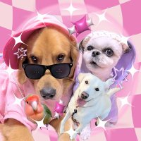 らぶちゃん🍉清水ただし応援︎📢💕︎︎ (@love_chan_yanen) 's Twitter Profile Photo らぶちゃん🍉清水ただし応援︎📢💕︎︎ (@love_chan_yanen) 's Twitter Profile Photo