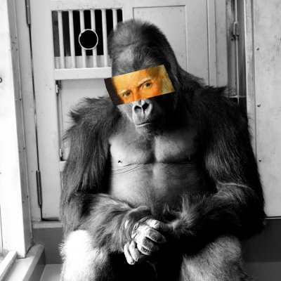 goriIIaman's profile picture. I am Gorillaman,
A creature of the wild,
My strength and power,
Are matched by none, I vow.