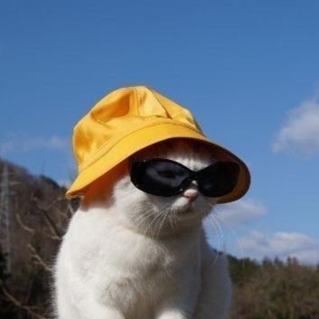 aceaarya's profile picture. Something deeply hidden had to be behind things.