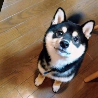 KAZUさんのプロフィール画像
