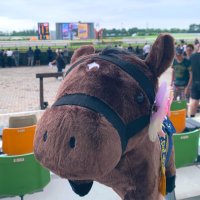 🦄れれ🐴 (@re_umauma) 's Twitter Profile