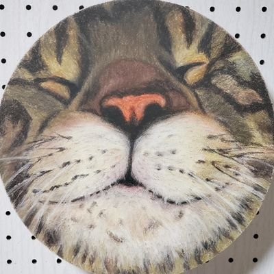 きぃこ🖍さんのプロフィール画像