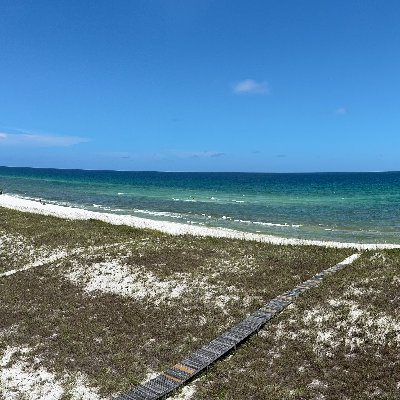 AAC8878L's profile picture. 