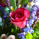 Kathleen Soper - @sudokuqueen - Twitter