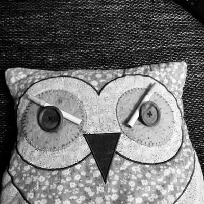 diegrune9's profile picture. Dźěwin. Üürime Saaremaale mida?