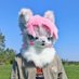 穆怀 (@plmercy5216679) Twitter profile photo 穆怀 (@plmercy5216679) Twitter profile photo