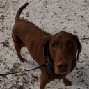 Keith Wilton - @KeithWilton - Twitter