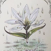☔ (@rain_f_dream) 's Twitter Profile